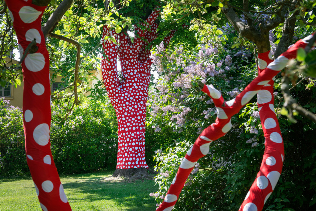 Kusama S Polka Dot Trees Invade Skeppsholmen Moderna Museet I Stockholm   Kusama Yayoi Ascension Of Polka Dots On The Trees 2016 F Asa Lunden 1500x1001 1024x683 