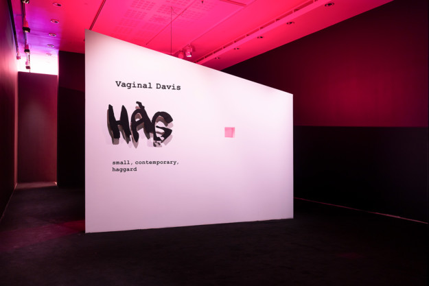 Installationsvy i rummet "HAG – small, contemporary, haggard". En vit låda placerad i mitten av utställningsrummet lyder "Vaginal Davis, HAG – small, contemporary, haggard"